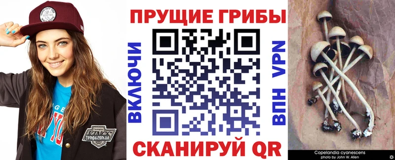 Галлюциногенные грибы Magic Shrooms  Игарка 